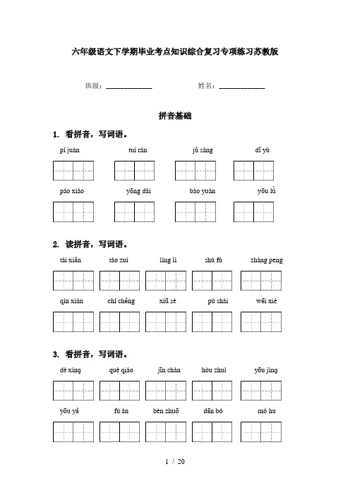 六年级语文下学期毕业考点知识综合复习专项练习苏教版
