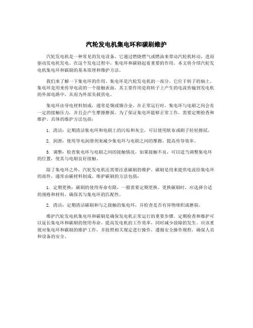 汽轮发电机集电环和碳刷维护