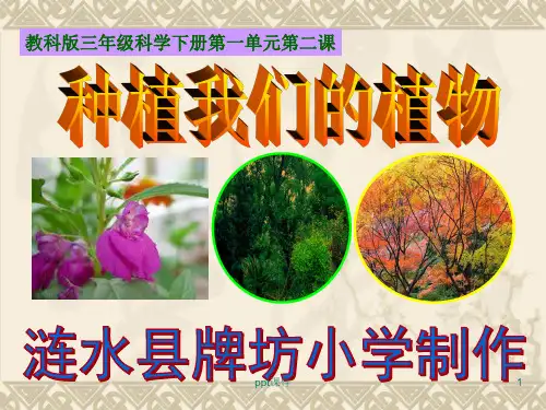 教科版三年级科学下册第一单元第二课   种植我们的植物(含课堂作业)  ppt课件