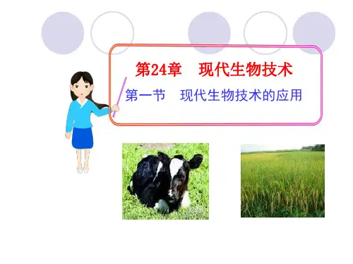 苏教版生物八下24.1《现代生物技术的应用》同步课件(共24张PPT)