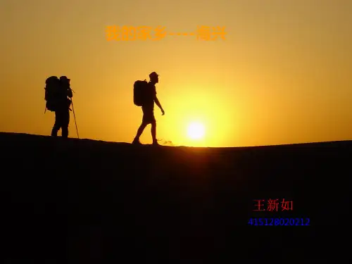 我的家乡 王新如