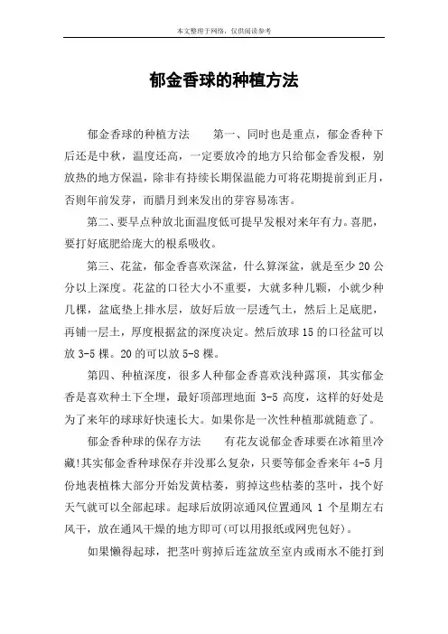 郁金香球的种植方法