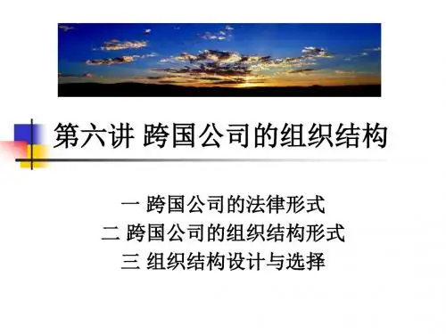 67第六讲跨国公司的组织结构 (2)