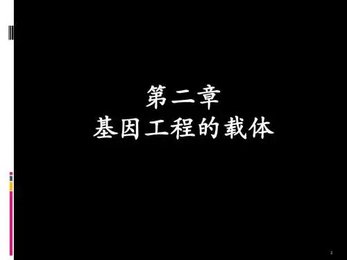 HXY-第二章-基因工程的载体和工具酶1