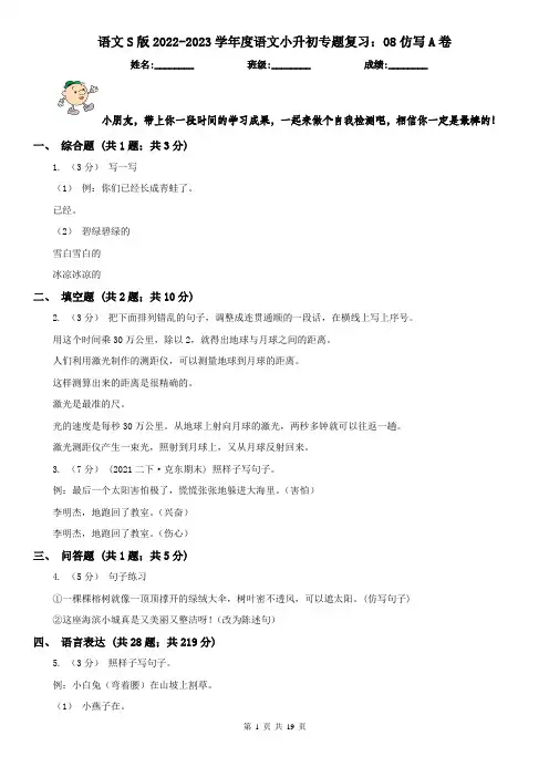 语文S版2022-2023学年度语文小升初专题复习：08仿写A卷