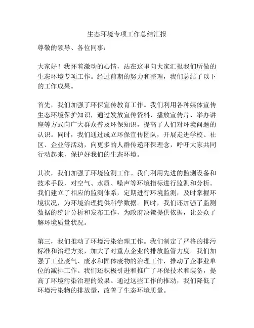 生态环境专项工作总结汇报