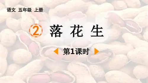 落花生-课件-2024-2025学年部编版语文五年级上册