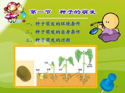 第一节--种子的萌发PPT课件