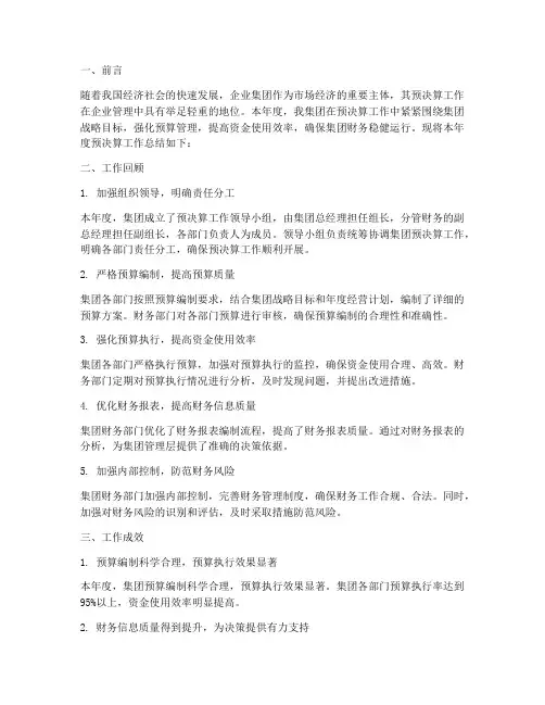 集团预决算工作总结报告