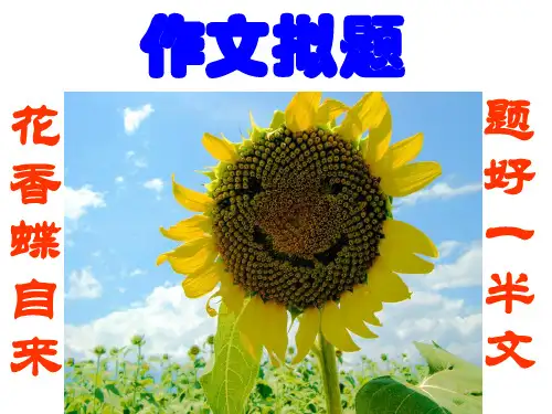 高中作文拟题ppt1
