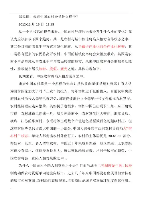 未来中国农村会是什么样子