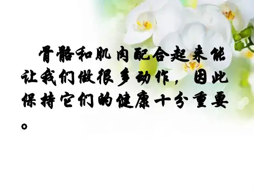 四年级下册科学课件骨骼、肌肉的保健_苏教版