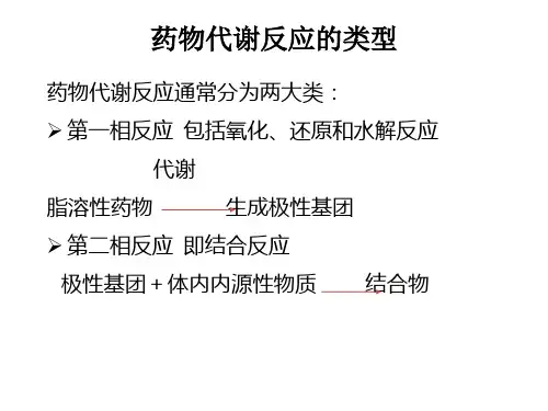 药物代谢反应的类