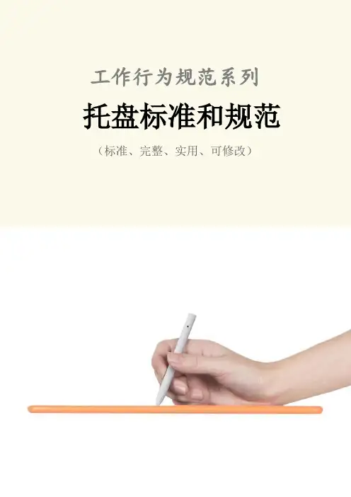 托盘标准和规范样本