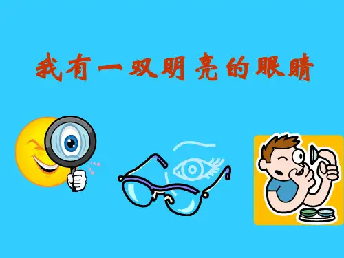 《我有一双明亮的眼睛》健康生活每一天PPT课件四