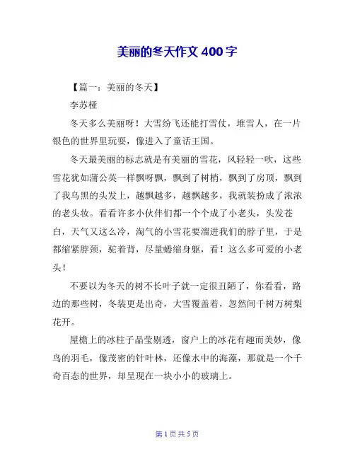 美丽的冬天作文400字