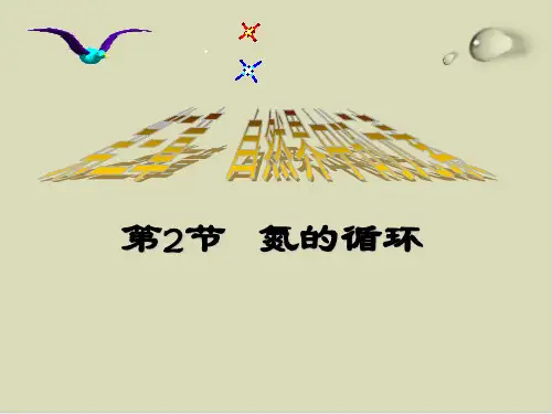 氨与铵态氮肥教案+学案+课件+随堂练习(4份打包) 鲁科版