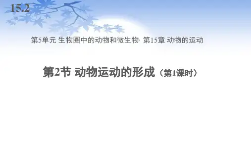北师大版八年级生物上册15.2《动物运动的形成》课件