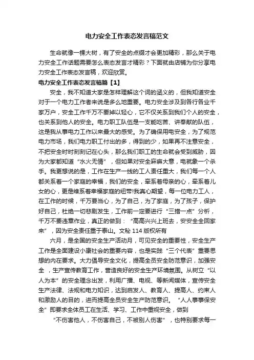 电力安全工作表态发言稿范文