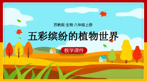 初中生物苏教版八年级上册《第一节五彩缤纷的植物世界》课件