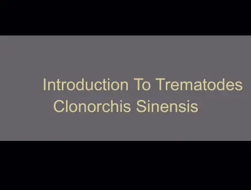 人体寄生虫学 Clonorchis sinensis(肝吸虫)PPT