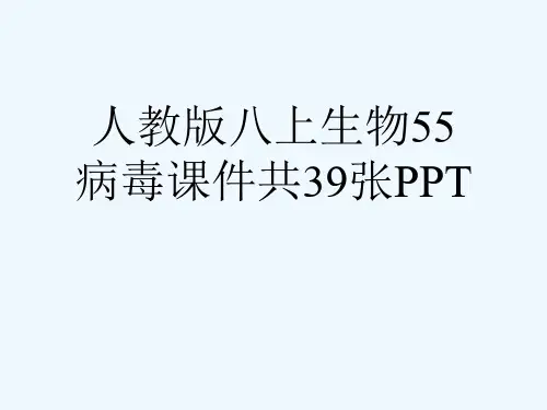 人教版八上生物55病毒课件共39张PPT[可修改版ppt]