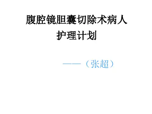 腹腔镜的护理【护理查房格式】