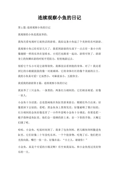 连续观察小鱼日记