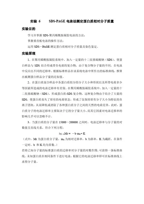 SDS-PAGE电泳法测定蛋白质相对分子质量