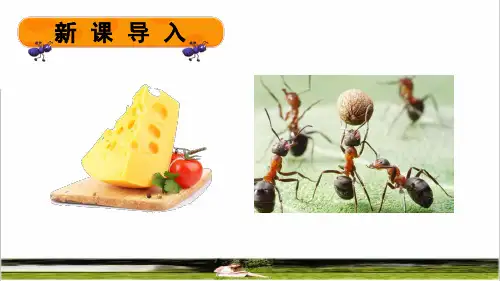 部编版三年级语文上册第三单元第11课《 一块奶酪》上课课件
