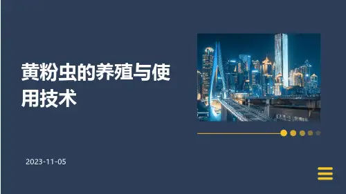 黄粉虫的养殖与使用技术