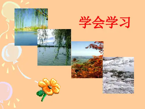牙髓腔课件1