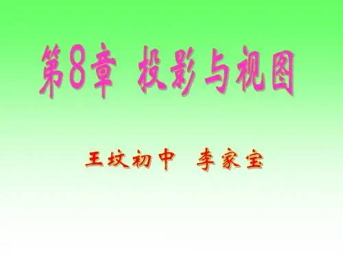 投影与视图   李家宝