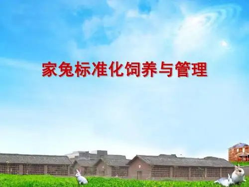 家兔标准化饲养与管理