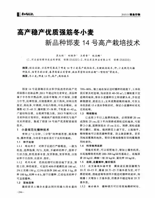 高产稳产优质强筋冬小麦新品种邯麦14号高产栽培技术