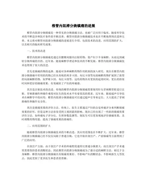 椎管内阻滞分娩镇痛的进展