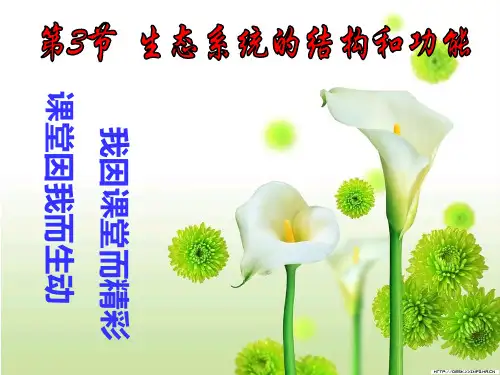 北师大版生物八年级下册 8.23.3 生态系统的结构和功能 课件
