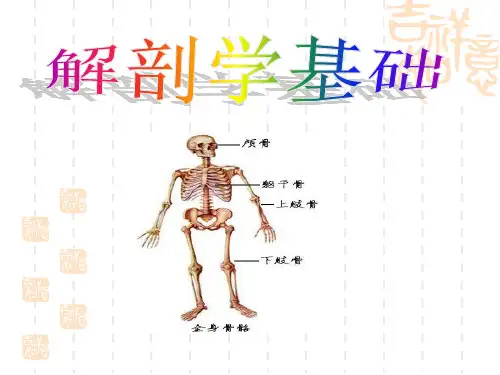 运动系统骨连结PPT课件