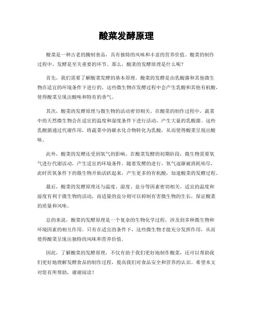 酸菜发酵原理
