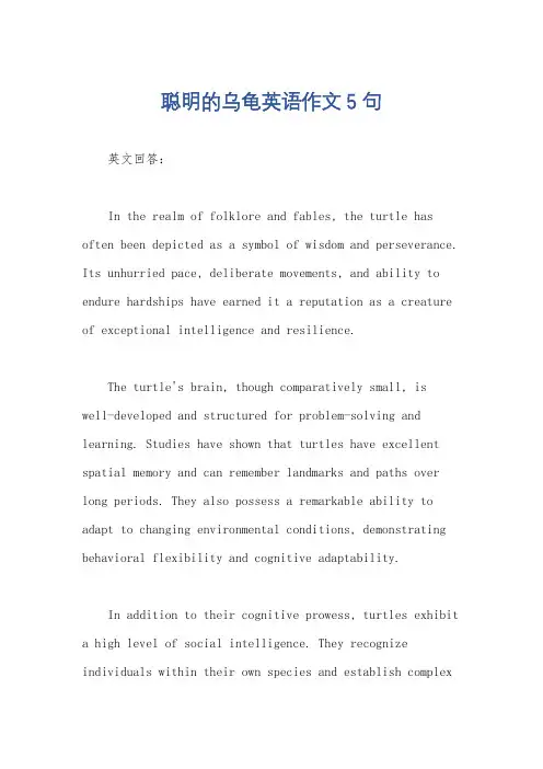 聪明的乌龟英语作文5句