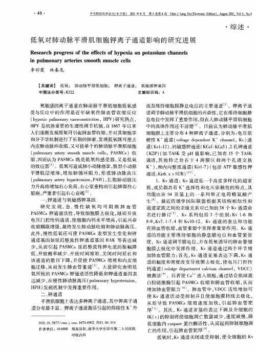 低氧对肺动脉平滑肌细胞钾离子通道影响的研究进展