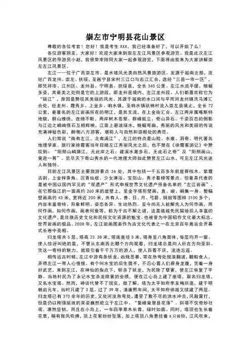 崇左市宁明县花山景区-广西省导游词