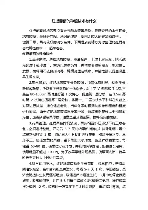 红提葡萄的种植技术有什么