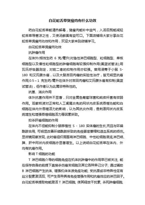 白花蛇舌草煲瘦肉有什么功效