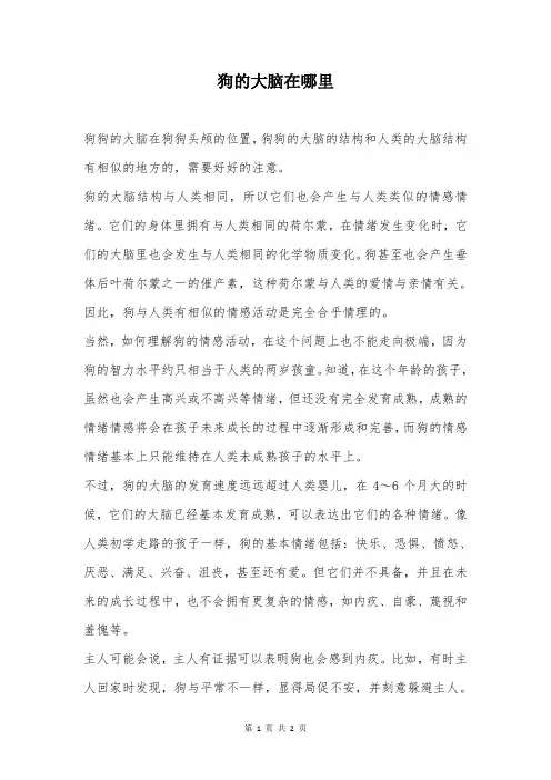 狗的大脑在哪里