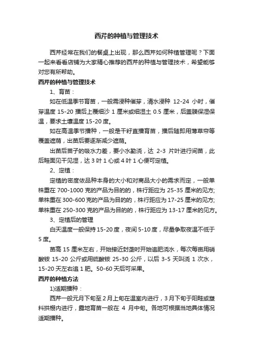西芹的种植与管理技术