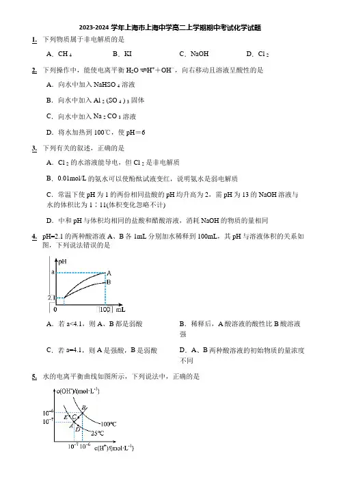 2023-2024学年上海市上海中学高二上学期期中考试化学试题