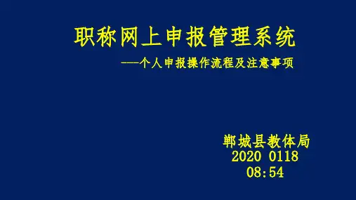 职称网上申报系统 个人申报 2020 0118 0854