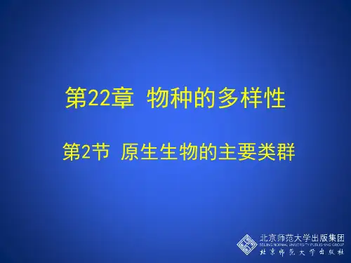 22.2原生生物的主要类群