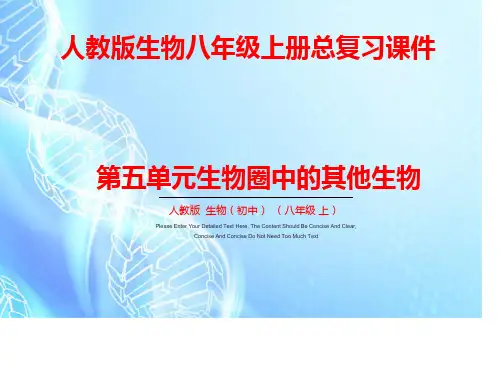 人教版八年级上册-2023年中考生物复习分册梳理课件(人教版)